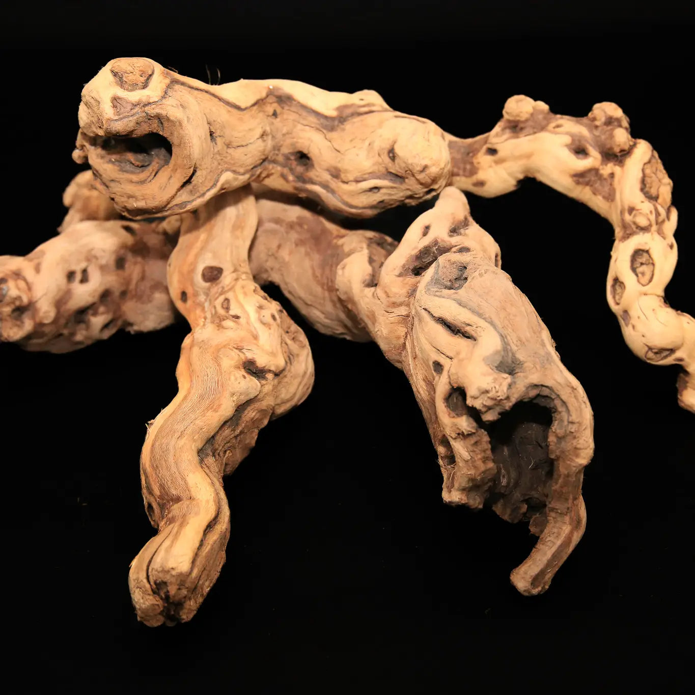 Tumbled Grapewood Pieces