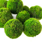 Preserved Moss Ball Set  12-Piece Assortment