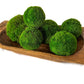 Preserved Moss Ball Set  12-Piece Assortment