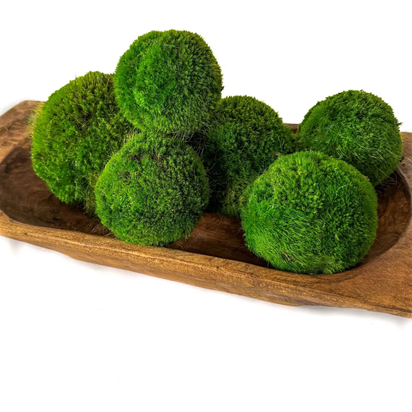Preserved Moss Ball Set  12-Piece Assortment