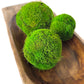 Preserved Moss Ball Set  12-Piece Assortment
