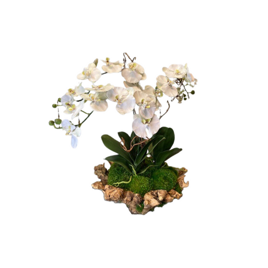 Large Orchid Branchy Bowl