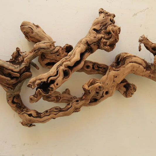 Tumbled Grapewood Pieces