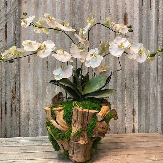 Each container is hand made out grape wood root. There are four Real-Touch orchids.